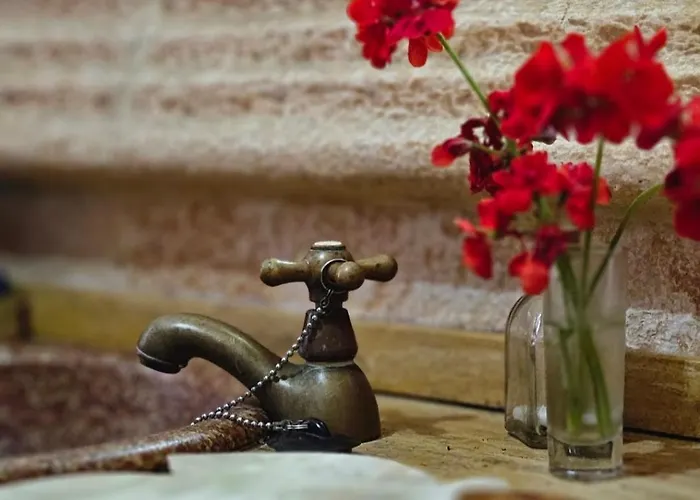 Casa de hóspedes El Asturiano