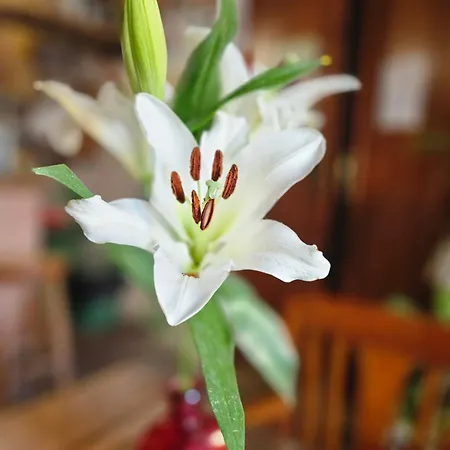 El Asturiano 3* Tarifa